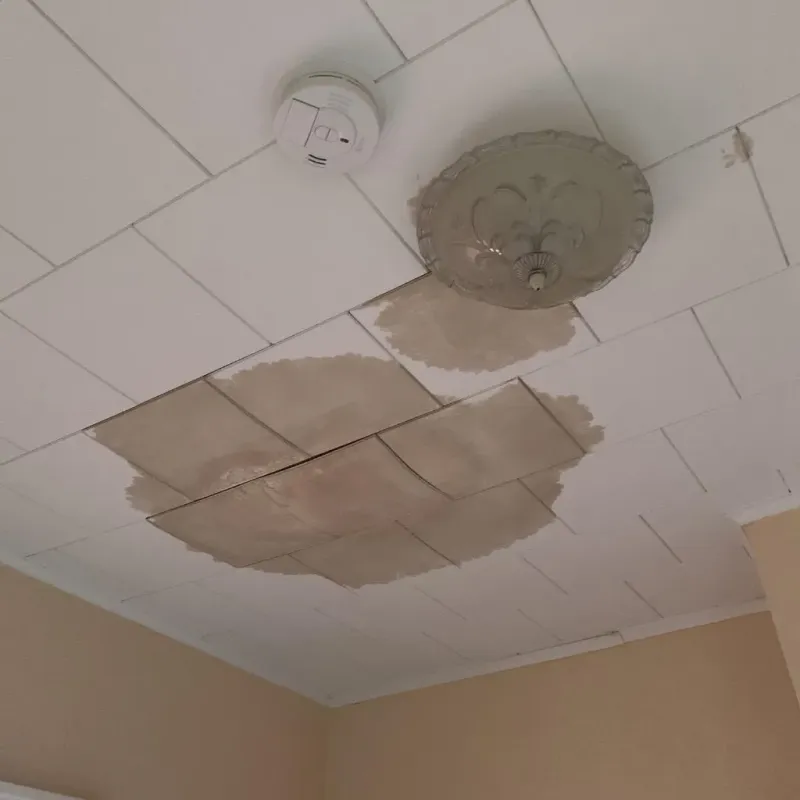 Ceiling Water Damage Repair in Shiloh, PA