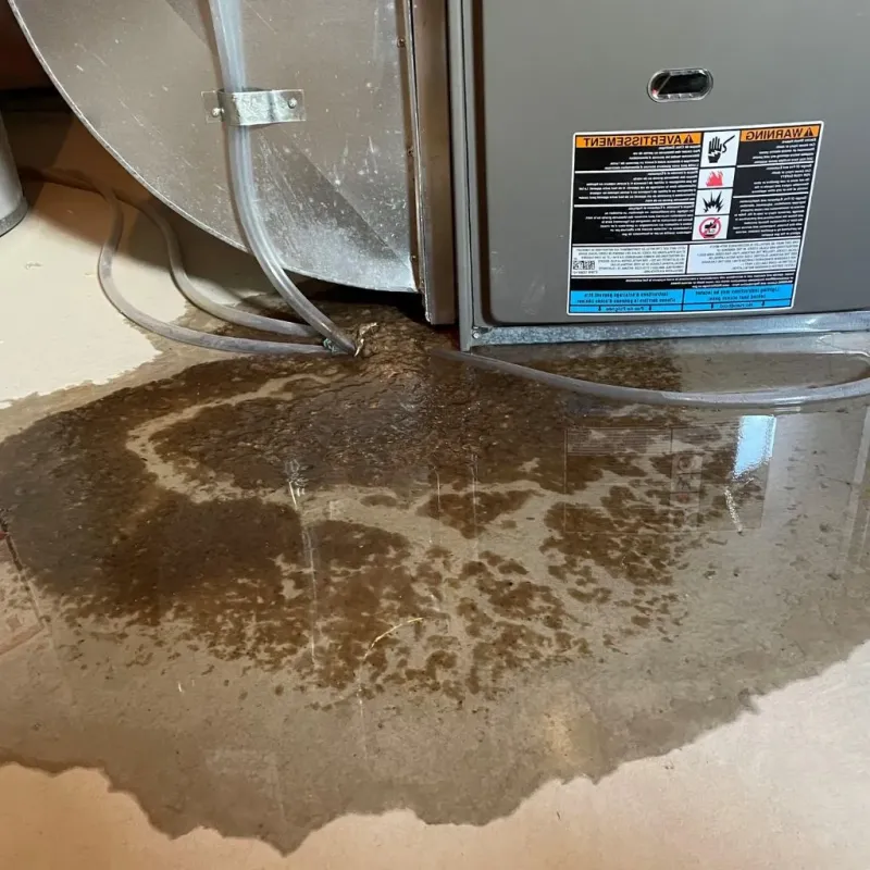 Pipe Burst and Leak Restoration in Shiloh, PA