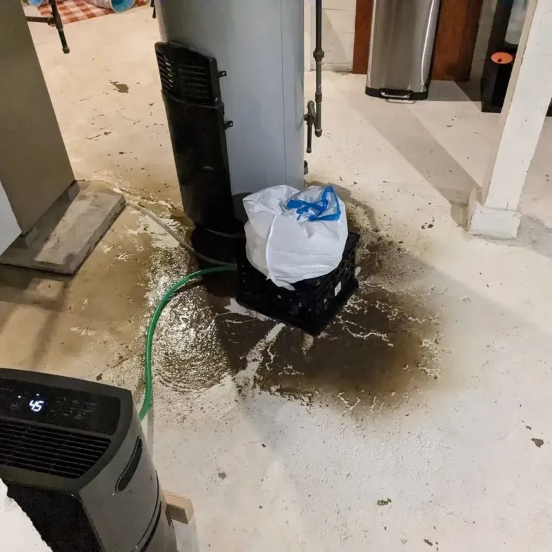 Sewage Backup Cleanup Service in Shiloh, PA